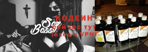 хмурый Алзамай