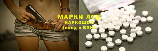 хмурый Алзамай
