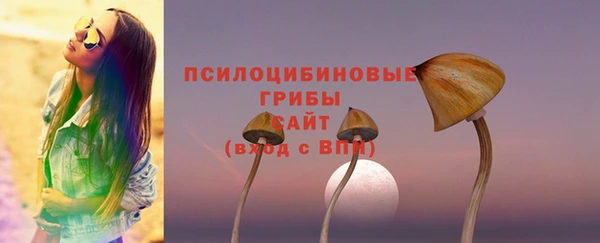 apvp Алексин
