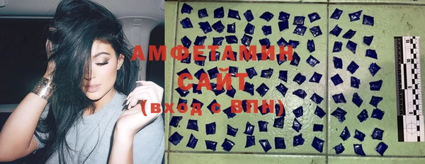 хмурый Алзамай