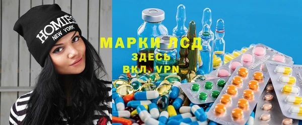 apvp Алексин