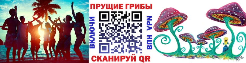 Галлюциногенные грибы Cubensis Нерчинск